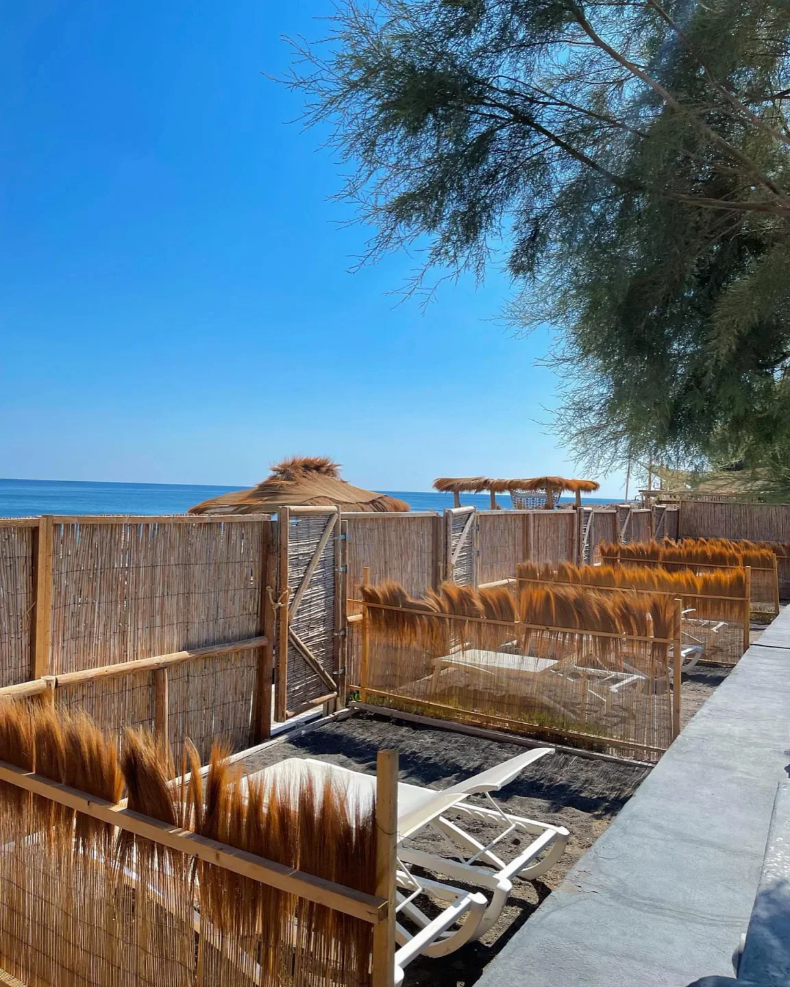 Demilmar beach club exterior with rows of lounge chairs and thatched umbrellas overlooking the sea
